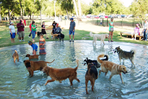 Quinn's Junction Dog Park photo 2